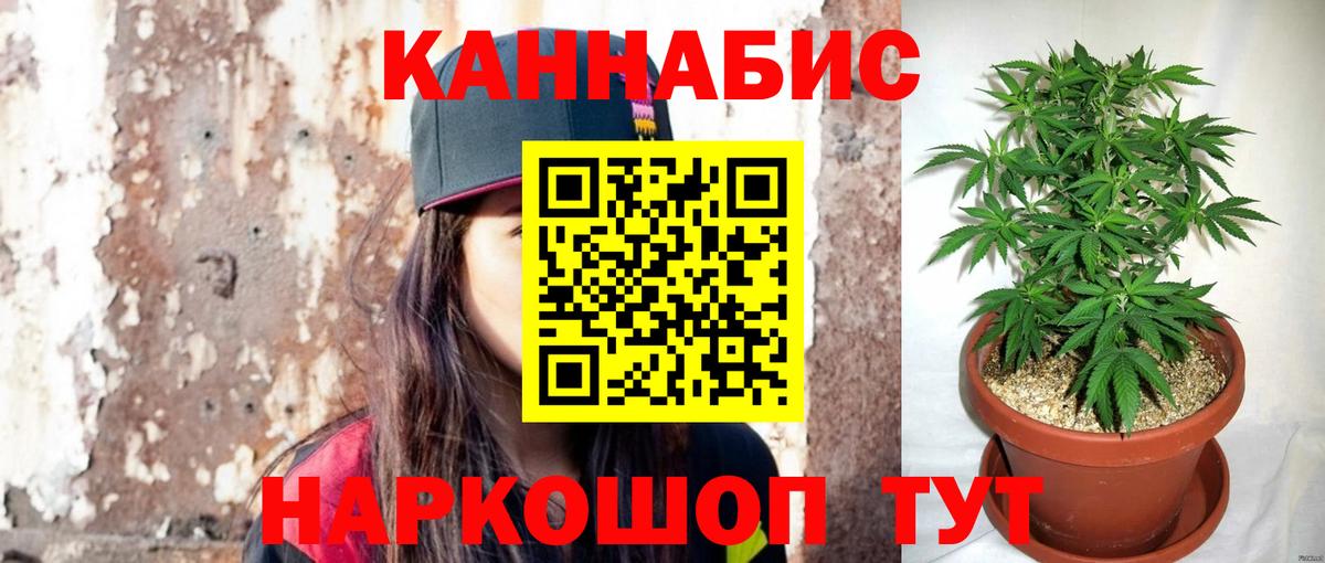Бошки марихуана сатива Мелеуз